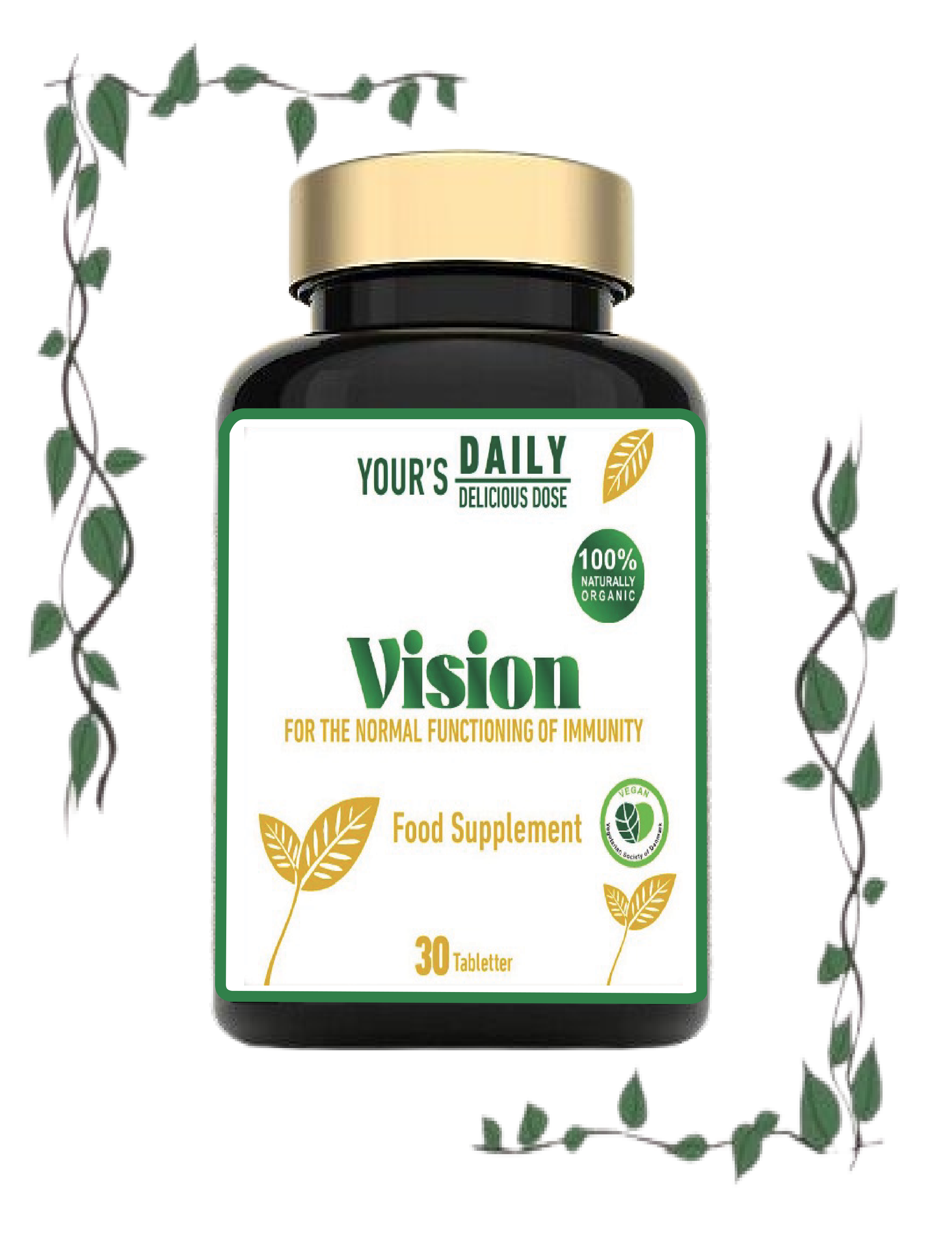Vision Supplement Image